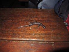 Hynobius arisanensis