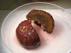 Polyclinum constellatum