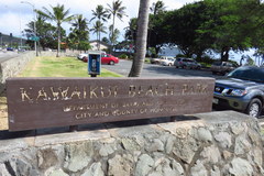 Delta pyriforme philippinense