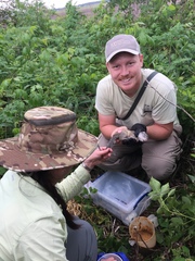 Poliocitellus franklinii