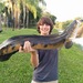 Goldline Bullseye Snakehead - Photo (c) Tristan Packard, some rights reserved (CC BY-NC), uploaded by Tristan Packard
