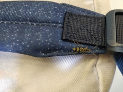 Chlorophorus macaumensis