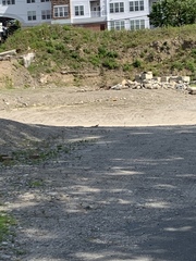 Charadrius vociferus