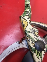 Dasymutilla quadriguttata