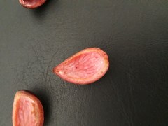 Protium heptaphyllum