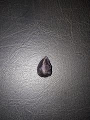 Protium heptaphyllum