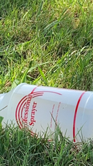 Erythemis simplicicollis