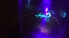 Centruroides limpidus