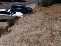 Nemacladus longiflorus