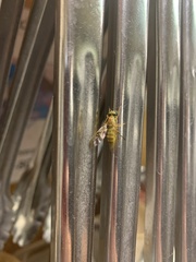 Ptecticus trivittatus