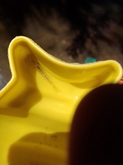 Atyaephyra desmarestii