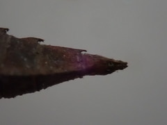 Dromogomphus spinosus