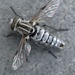 Ozodiceromyia nanella - Photo (c) danchure,  זכויות יוצרים חלקיות (CC BY-NC)