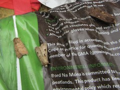 Hoplodrina octogenaria