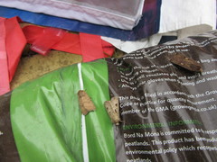 Hoplodrina octogenaria