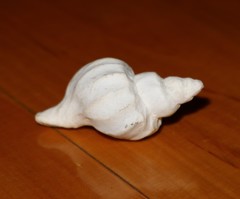 Trophon