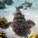 Northern Wobbegong - Photo (c) 
Guy Skillen / Atlas of Living Australia, some rights reserved (CC BY)