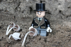 Coprinellus disseminatus