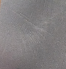 Leucoagaricus naucinus