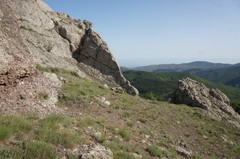Astragalus arnacantha
