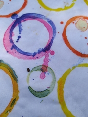 Crocistethus waltlianus