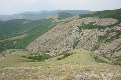 Astragalus arnacantha