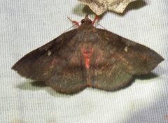 Azeta