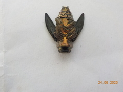 Chrysobothris acutipennis