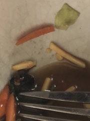 Trichoplusia ni