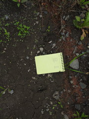 Moschus moschiferus