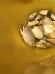 Emerita austroafricana