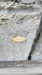 Potamomusa midas