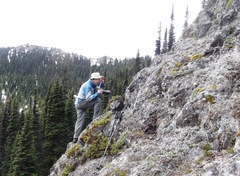 Thamnolia vermicularis vermicularis