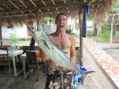 Scomberomorus commerson