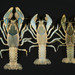 Procambarus hagenianus vesticeps - Photo (c) SBAdams, algunos derechos reservados (CC BY-NC-SA), subido por SBAdams