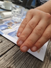 Phyllopertha horticola