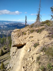 Penstemon fruticosus