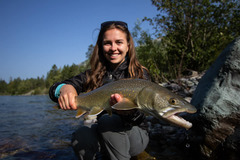 Salvelinus confluentus