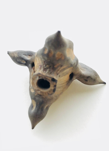 Water caltrop