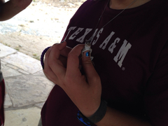 Sceloporus merriami merriami