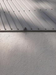 Poecile atricapillus