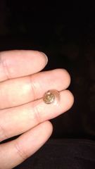 Dyakiidae
