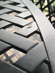 Ptecticus trivittatus