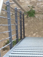 Phoenicurus ochruros