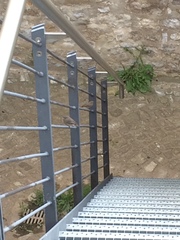 Phoenicurus ochruros