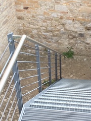 Phoenicurus ochruros