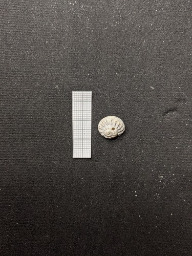 Modulus modulus image