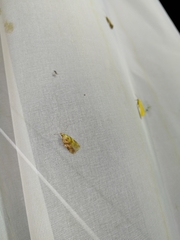 Sparganothis pilleriana