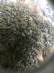 Montanelia sorediata