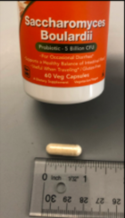 Saccharomyces cerevisiae